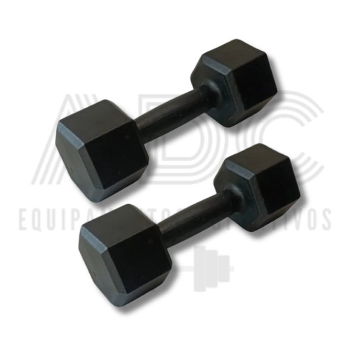 PAR DUMBELL 22,5KG SEXTAVADO PINTADO - ADC